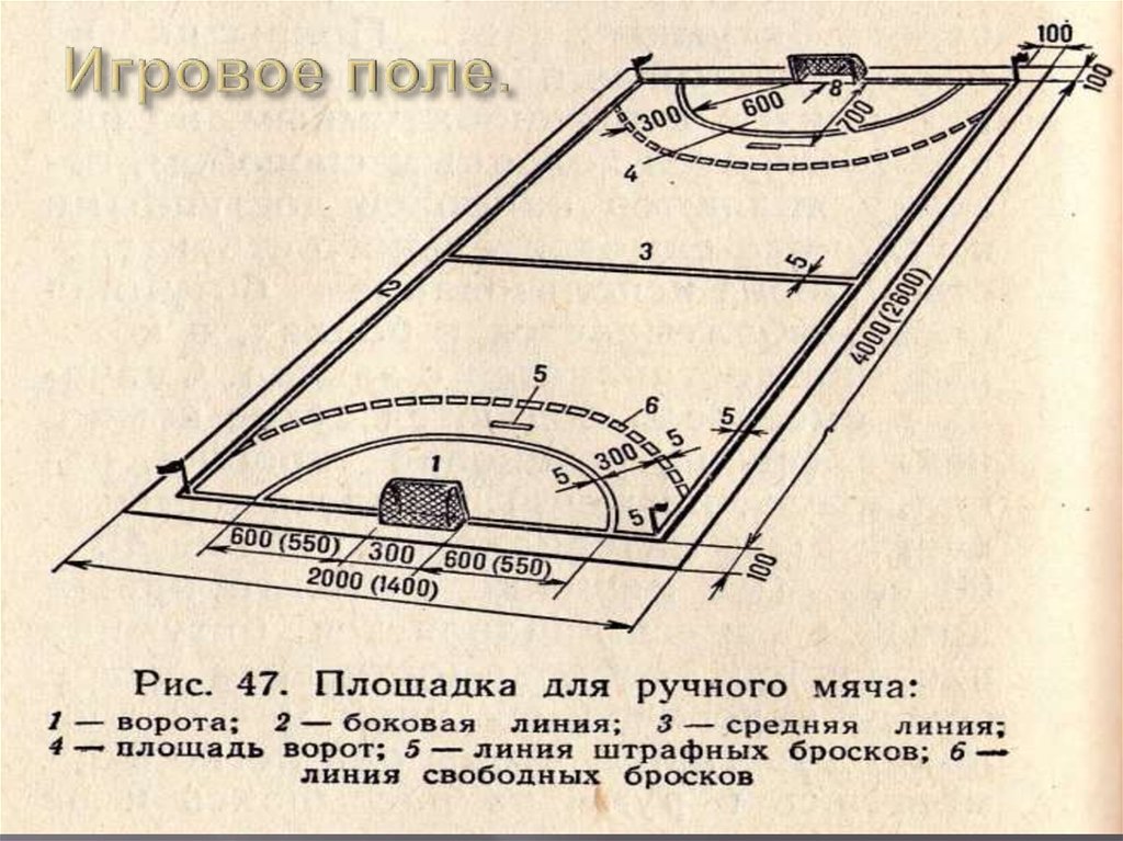 Схема гандбольной площадки