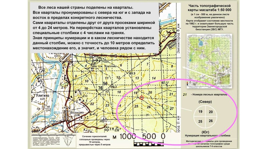 Карта погоды в звенигороде