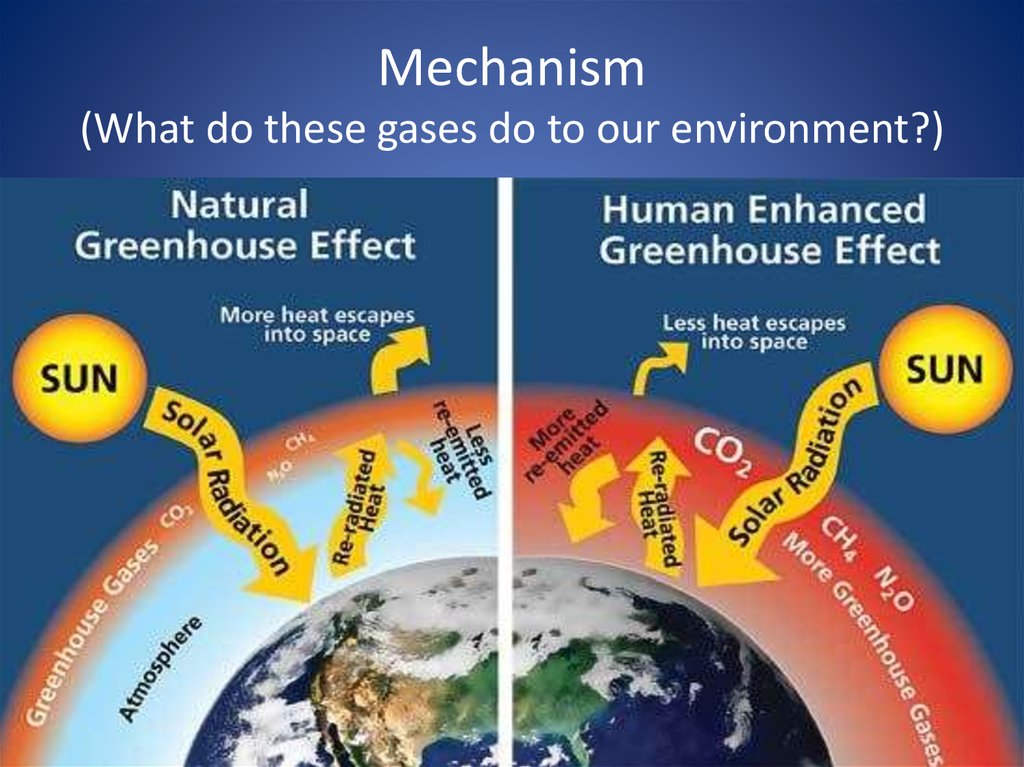 Global Warming Online Presentation