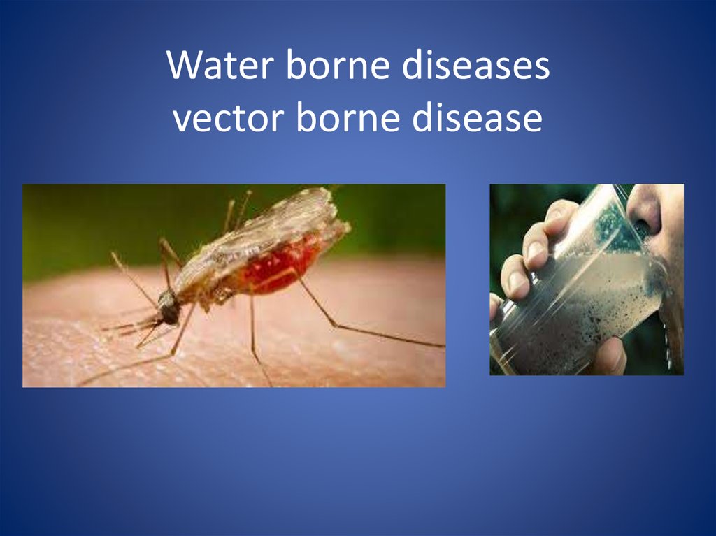 Water borne. Water born diseases.