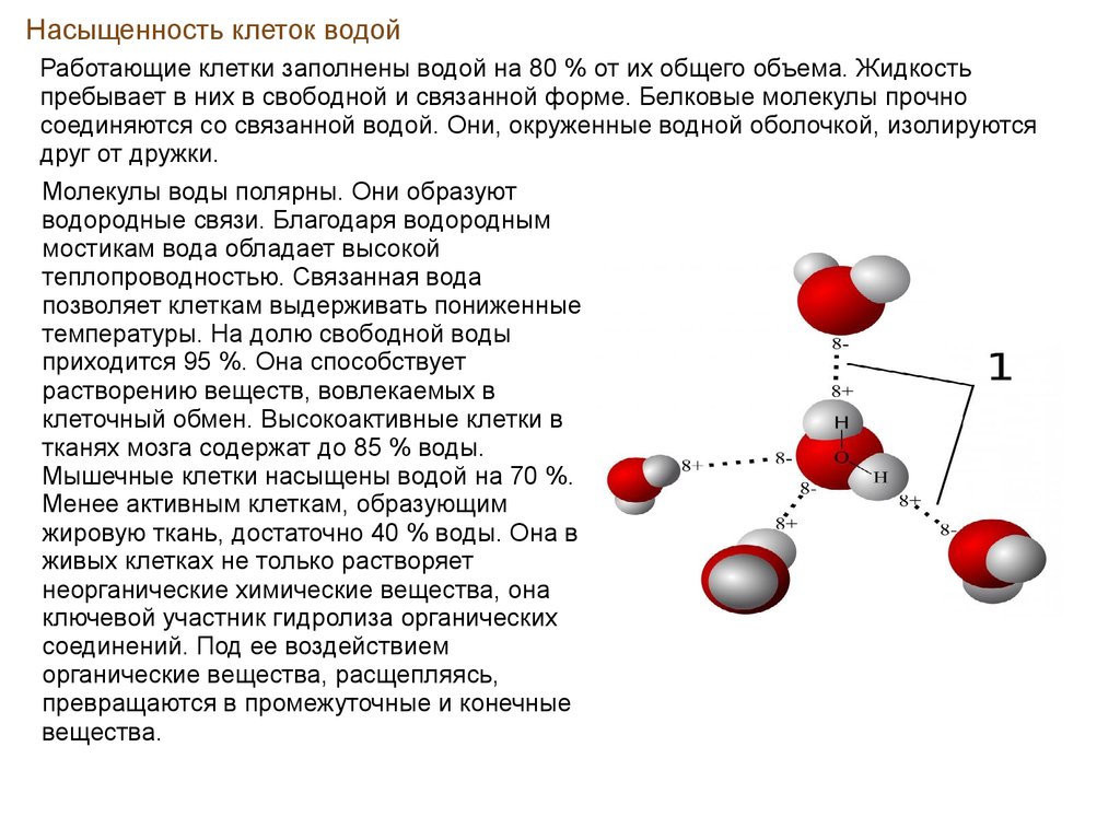 Сложные неорганические вещества можно классифицировать по четырем группам как показано на схеме