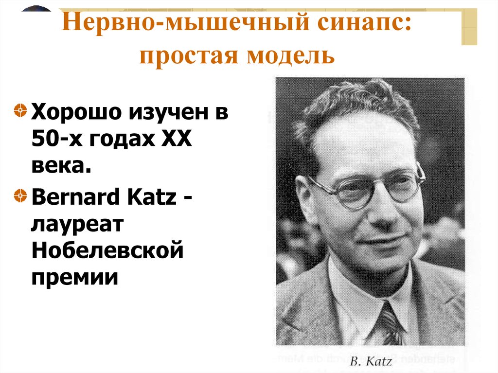 Нервно-мышечный синапс: простая модель