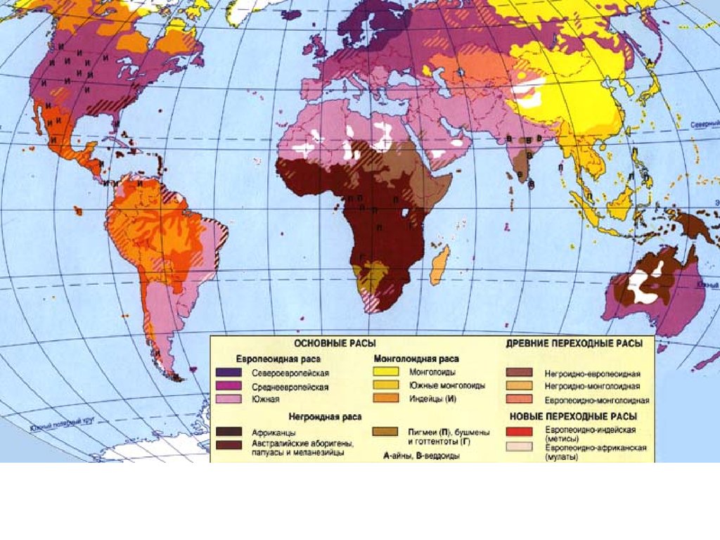 Расовая карта мира