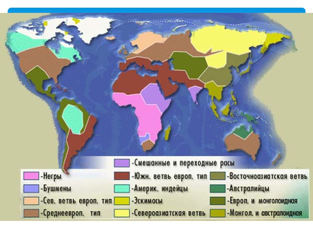 Земли человеческие расы. Расы людей на карте. Карта человеческих рас. Карта расселения рас.