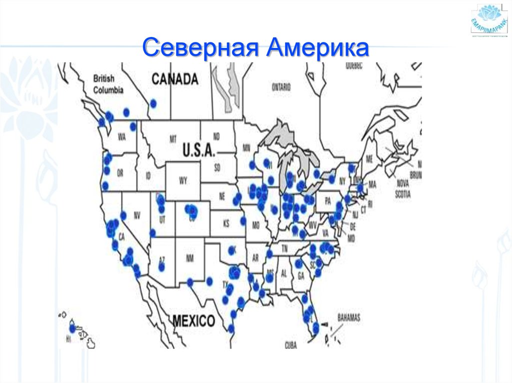 Северная Америка