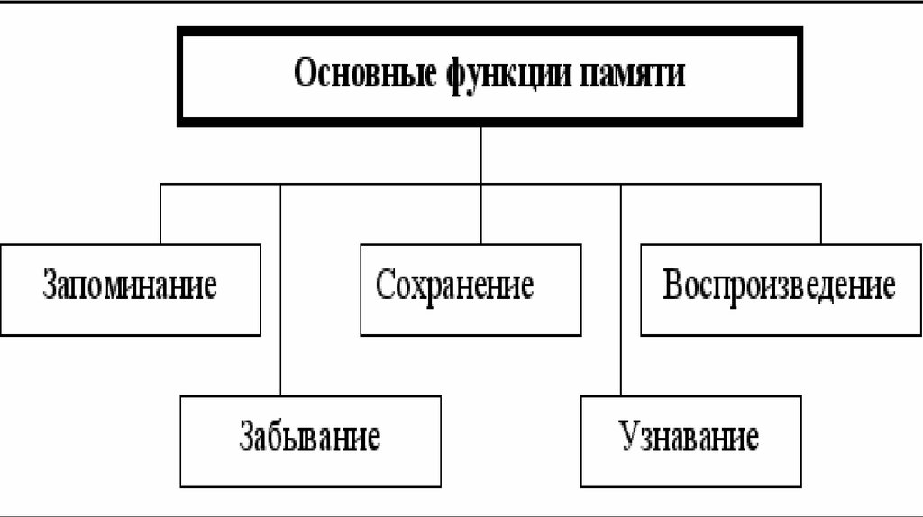 Функции памяти. Функции памяти человека. Главная функция памяти. Функции функции функции военной Гавани.