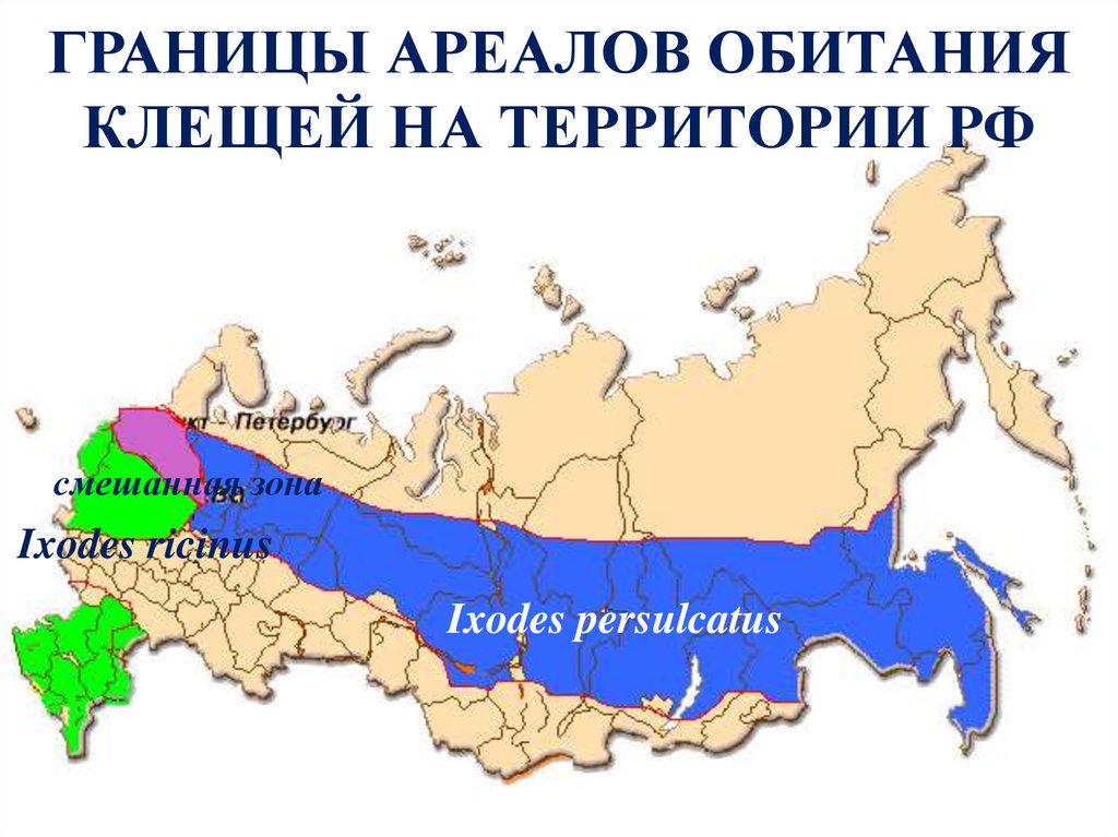 Роспотребнадзор карта клещевого энцефалита