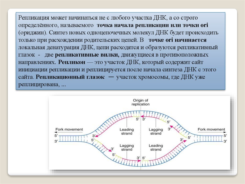 Начало репликации