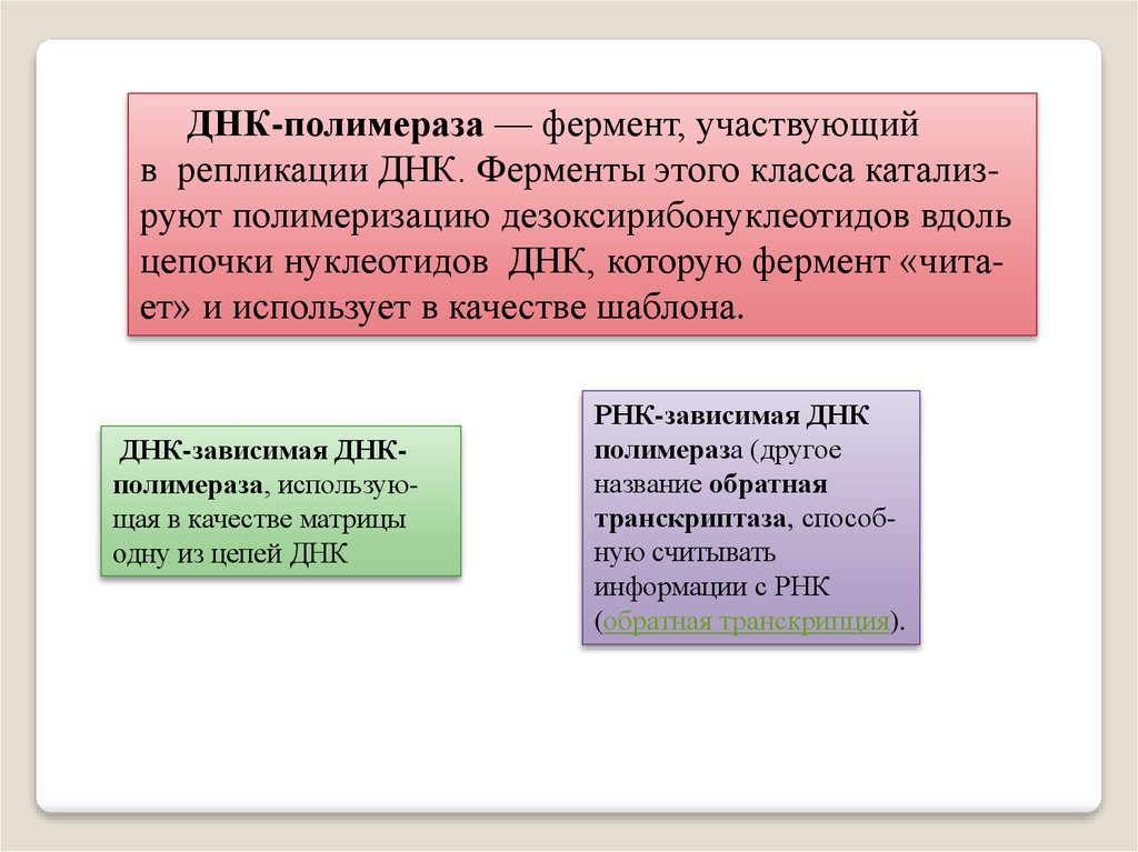 Днк зависимая. ДНК зависимые ДНК полимеразы. Фермент ДНК полимераза. ДНК-зависимая РНК-полимераза. ДНК полимераза магний катализ.