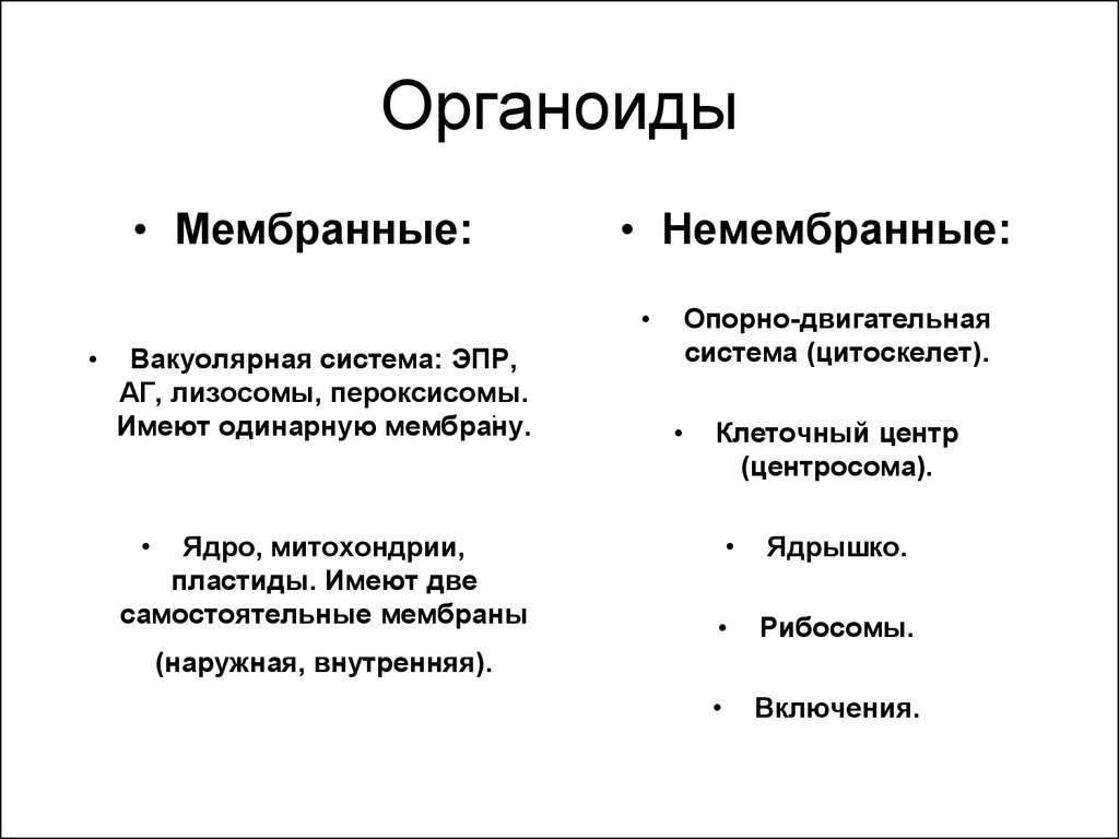 Немембранные клетки. Вакуолярная и опорно-двигательная система клетки. Пероксисомы мембранные или немембранные. Мембранные и немембранные органоиды. Ядрышко мембранные или немембранные.