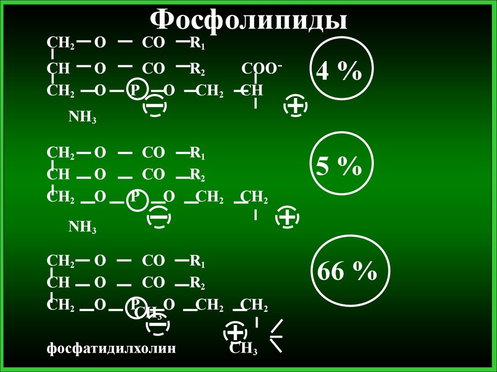 R co. Химия r1 r2 профессиональная. Ch2-o-co-r. R1-co-ch2-co-r2. R1 в химии.