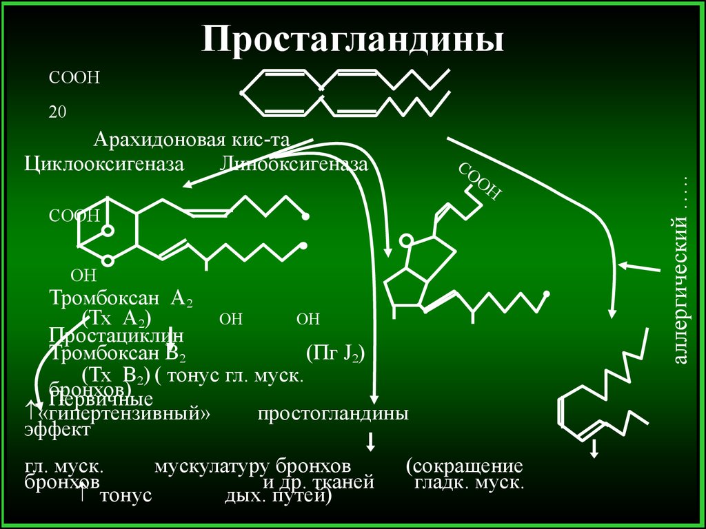 Простогландин. Простагландины группы е2. Простагландин е2 функции. Химическое строение простагландинов. Биохимия.