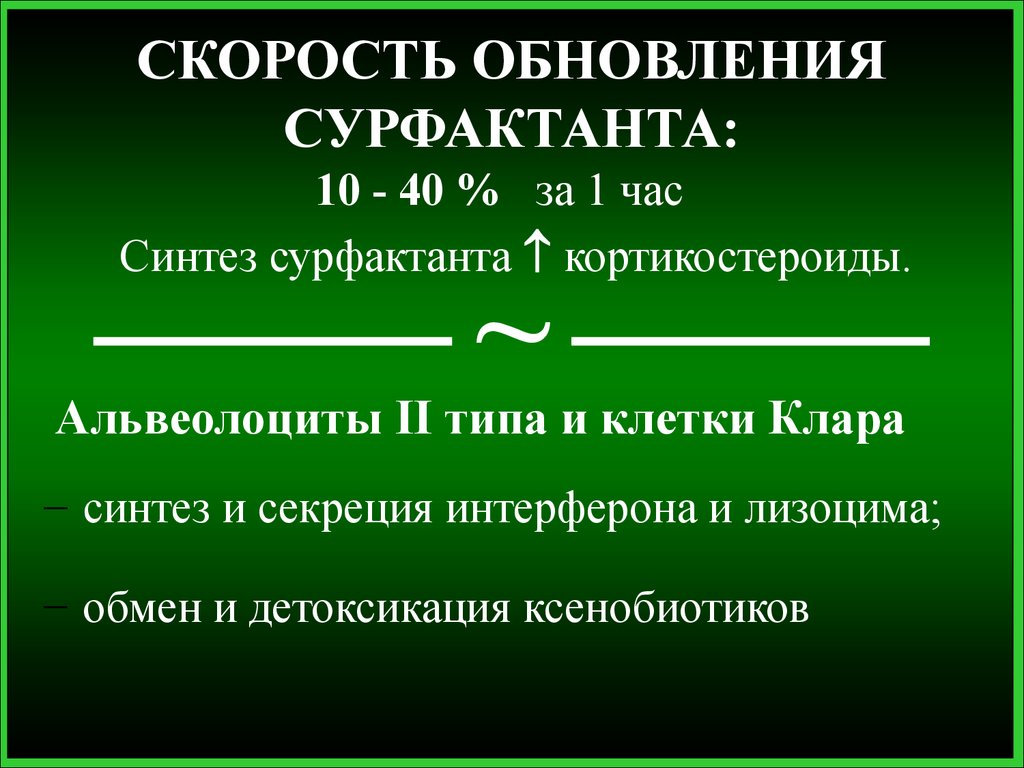 Скорость обновления. Синтез сурфактанта. Синтез легочного сурфактанта. Сурфактант биохимия. Секреция сурфактанта.