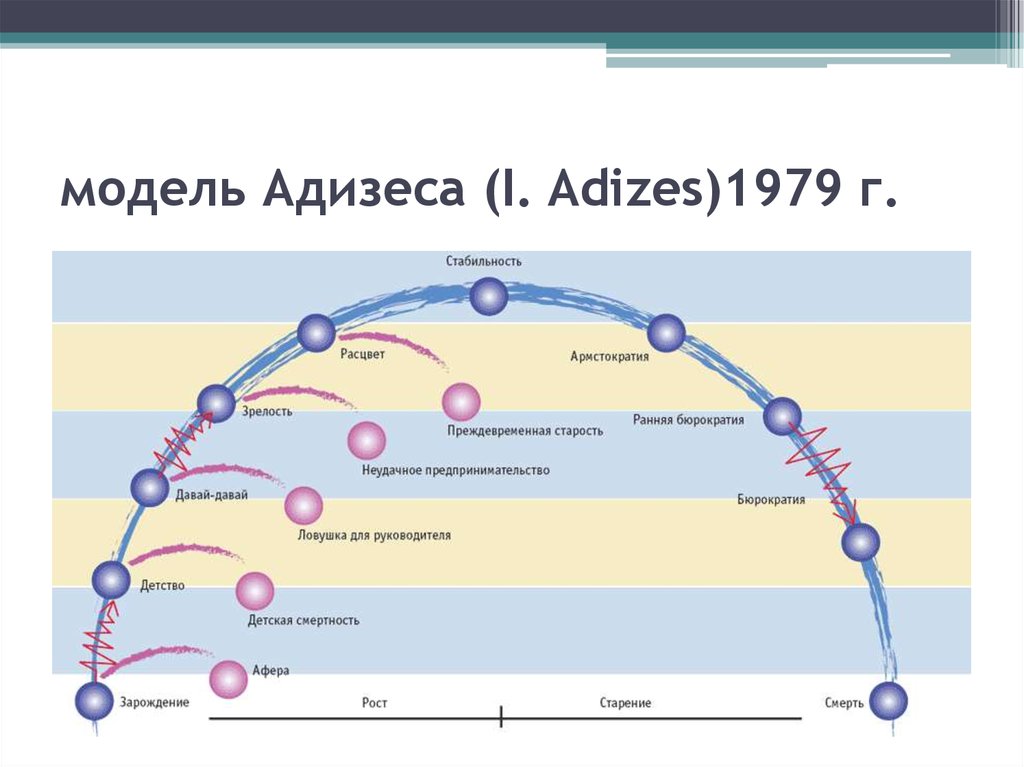 Организация ее жизненный цикл. Адизес этапы жизненного цикла организации. Модель ЖЦО Адизеса. Ицхака Адизеса "жизненный цикл организации". Теория жизненных циклов организации и.Адизеса.