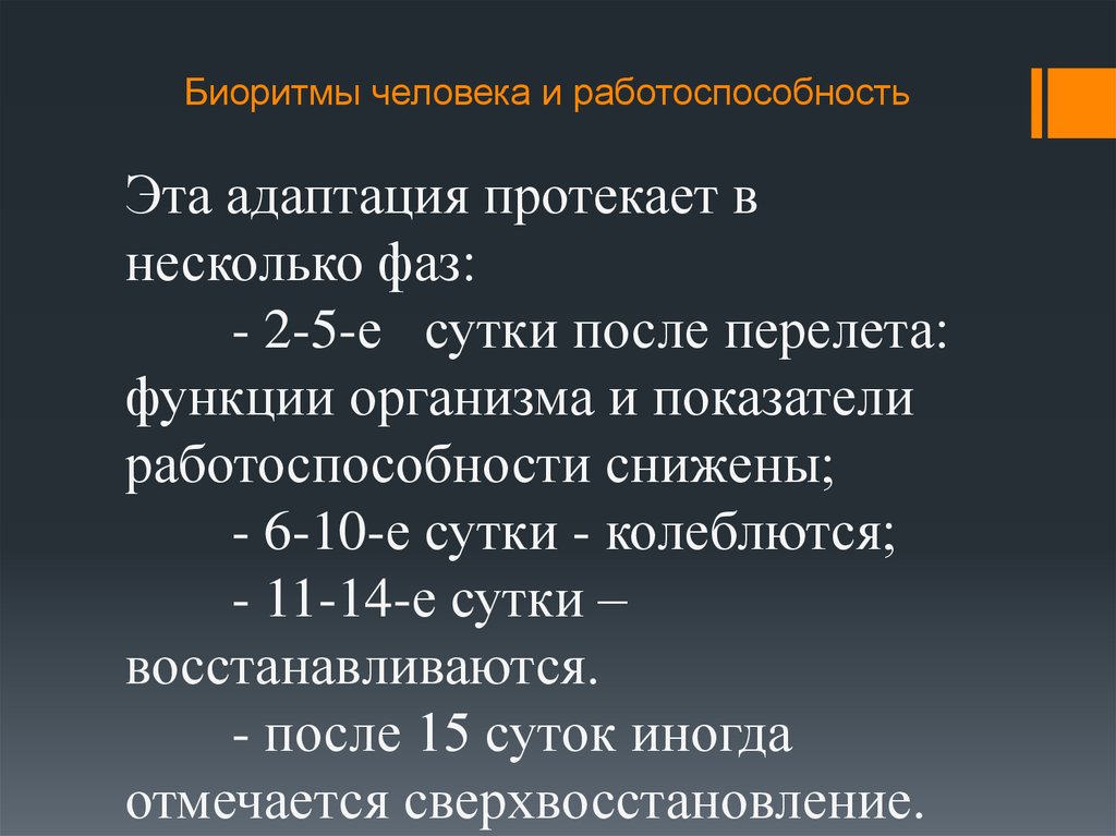 Презентация биологические ритмы и их влияние на работоспособность человека обж 10