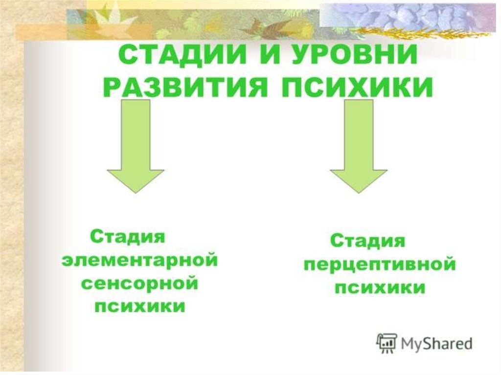 Сенсорный уровень