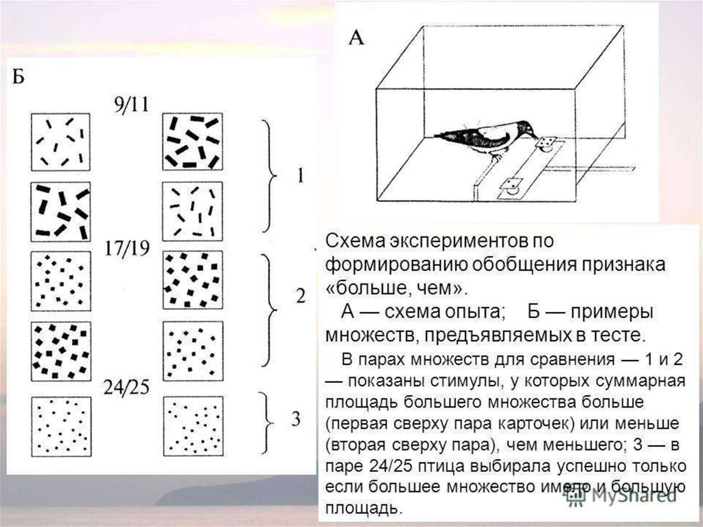 Что такое схема эксперимента