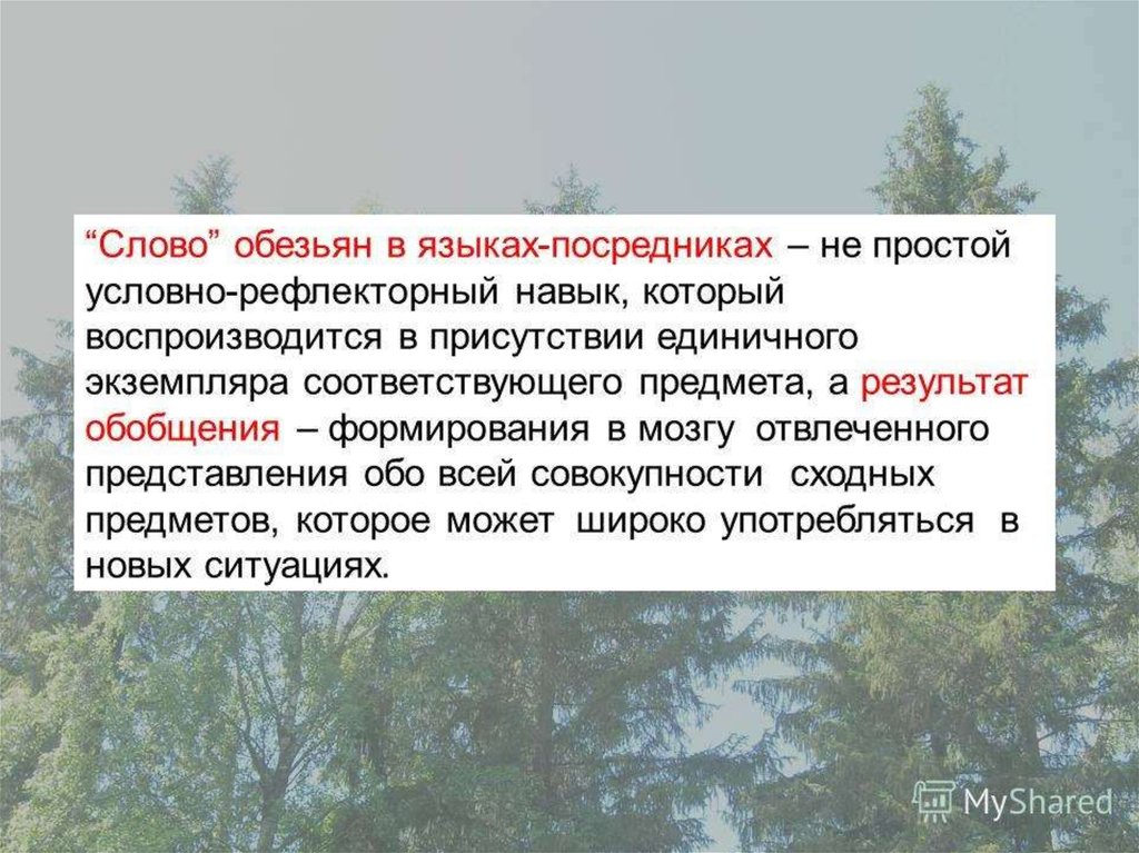 Пробация это простыми словами. Пробация что это такое простыми словами. Условка это простыми словами. Синоним к слову обезьяна. Язык посредник простыми словами.