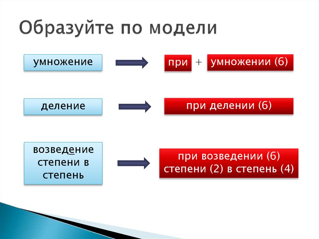 Модели образуют