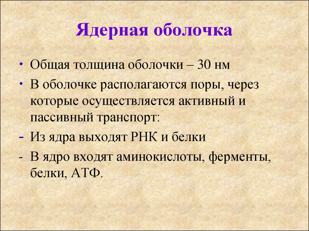 Толщину оболочки. Толщина оболочки. Через поры на ядерной оболочке осуществляется активный и пассивный.