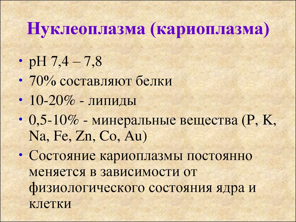 Кариоплазма. Нуклеоплазма и кариоплазма. Нуклеоплазма строение. Нуклеоплазма строение и функции. Нуклеоплазма состав.