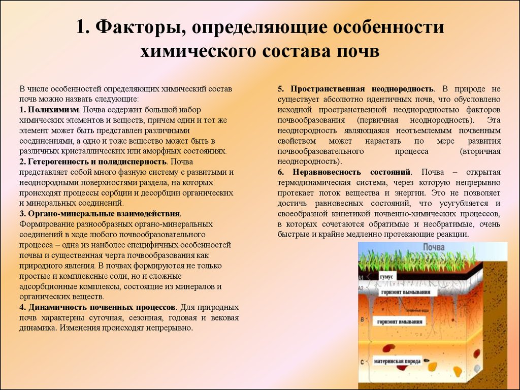 Восточно европейская равнина особенности механического состава почв. Химические факторы почв. Особенности химического состава почв. Факторы почвы. Особенности почвы.