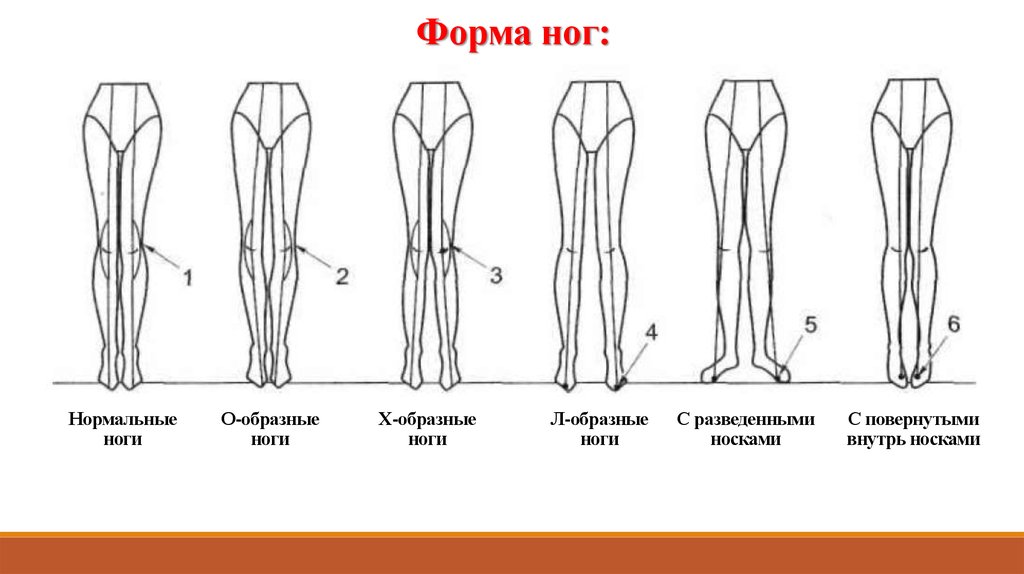 Форма ног и юбки
