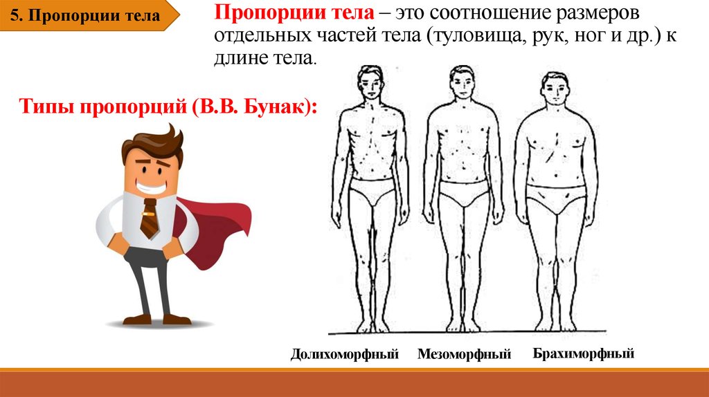 Форма тела постоянная. Пропорции тела Бунак онлайн.