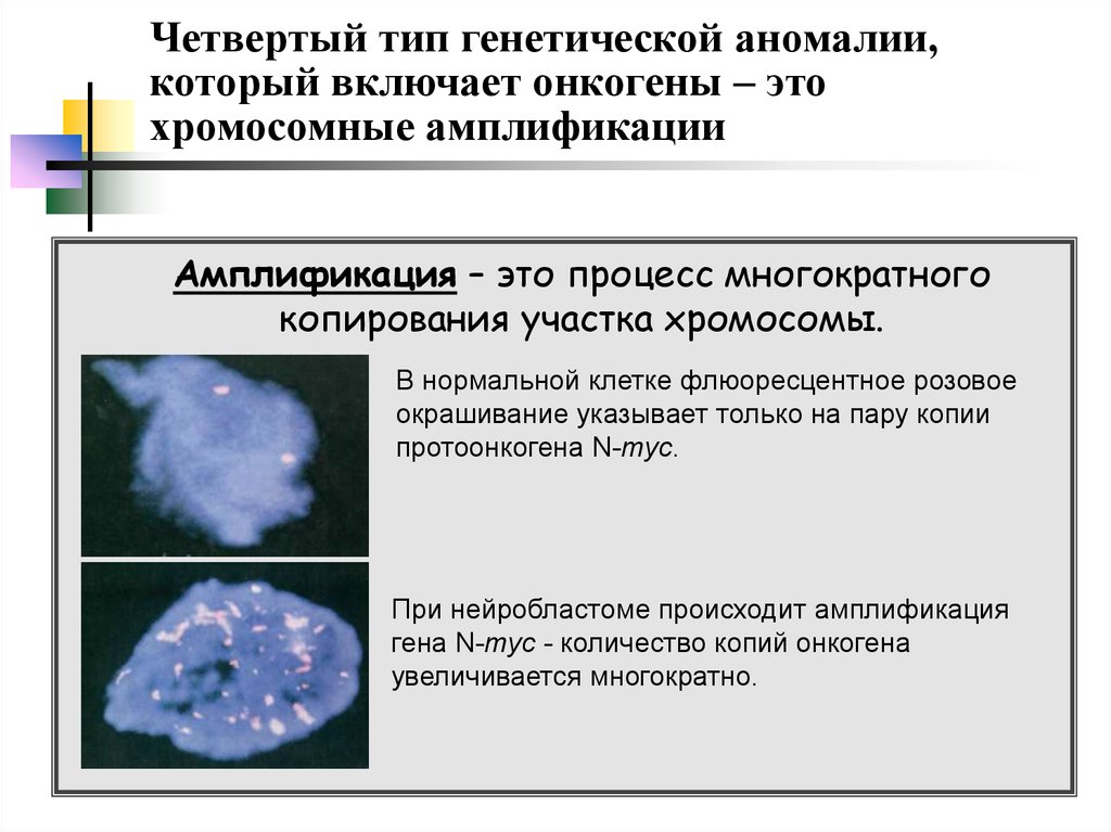 Iv типа. Типы аномалий. Генетические аномалии.