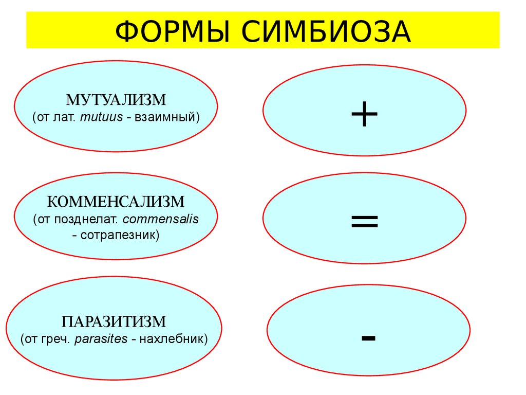 Различные формы отношений между. Виды симбиоза. Формы симбиоза. Виды паразитизма симбиоз. Формы проявления симбиоза.