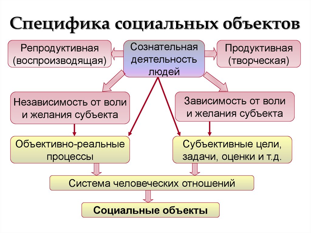 Специфика социальных проектов