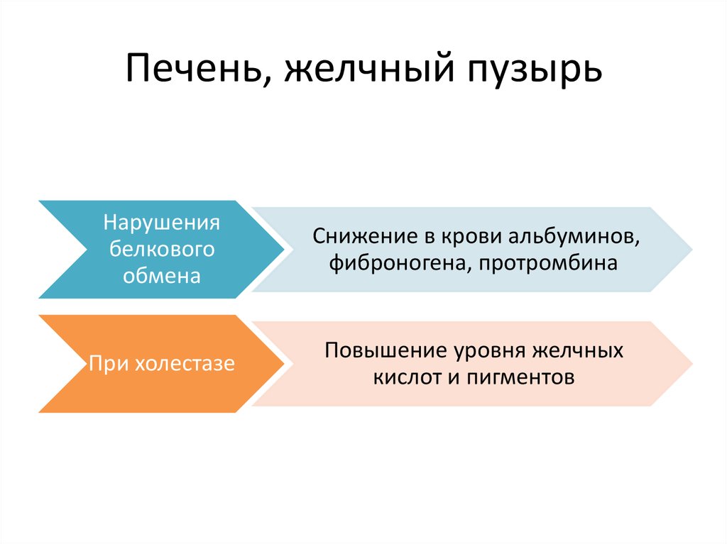 Печень, желчный пузырь
