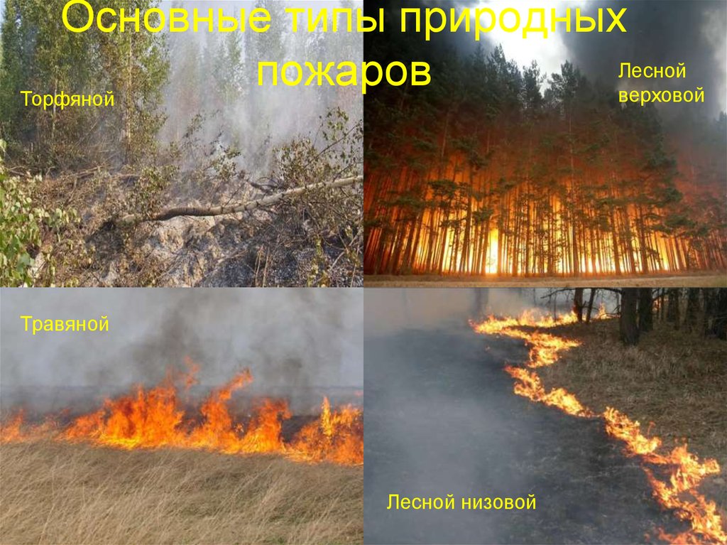 Верховые низовые подземные пожары. Классификация природных пожаров. Лесные пожары делятся на. Пожары верховые низовые торфяные.