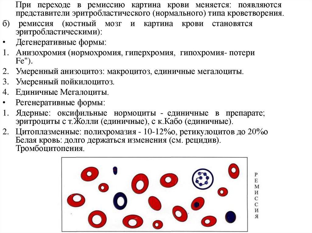 Гипохромия. Гипохромия гиперхромия нормохромия. Анемия анизоцитоз анизохромия. Гипохромия эритроцитов анизохромия. Анизохромия в общем анализе крови у взрослых.