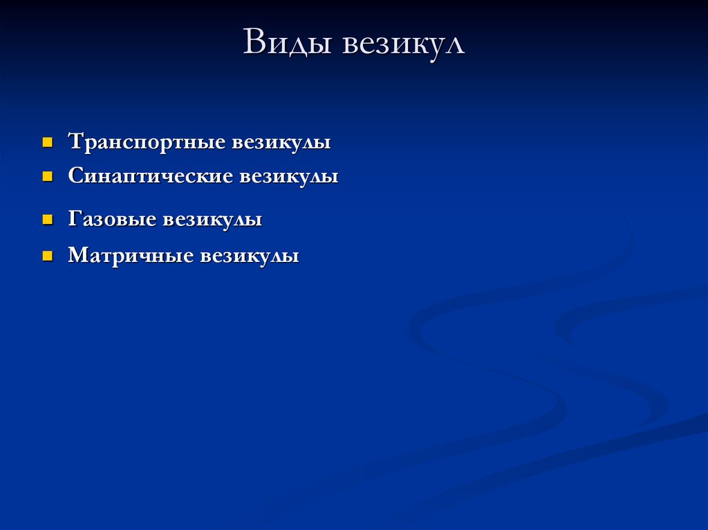 Везикула. Везикула функции. Везикула это в биологии. Формы опустошения везикул.