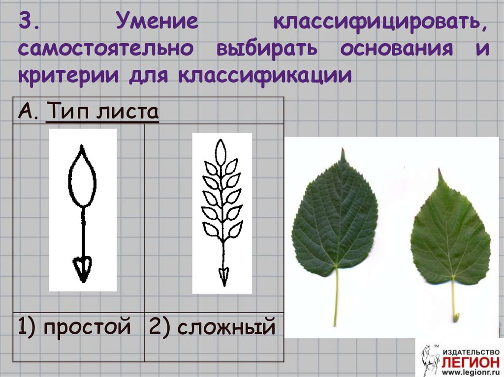 Основания выбранные для классификации