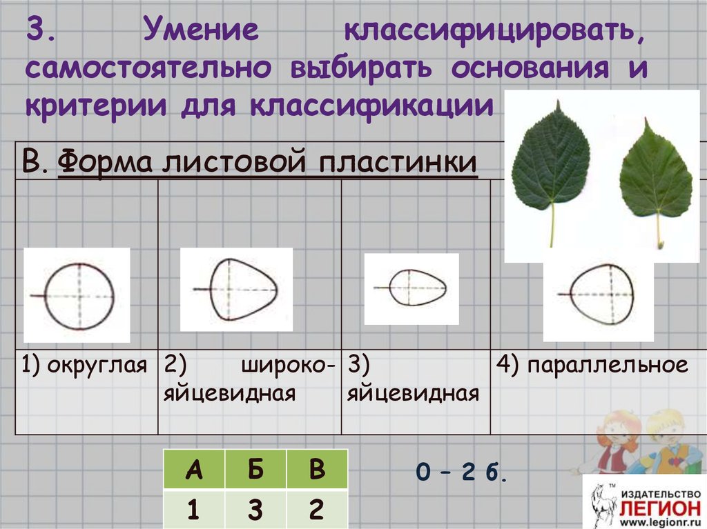 Выберите основания