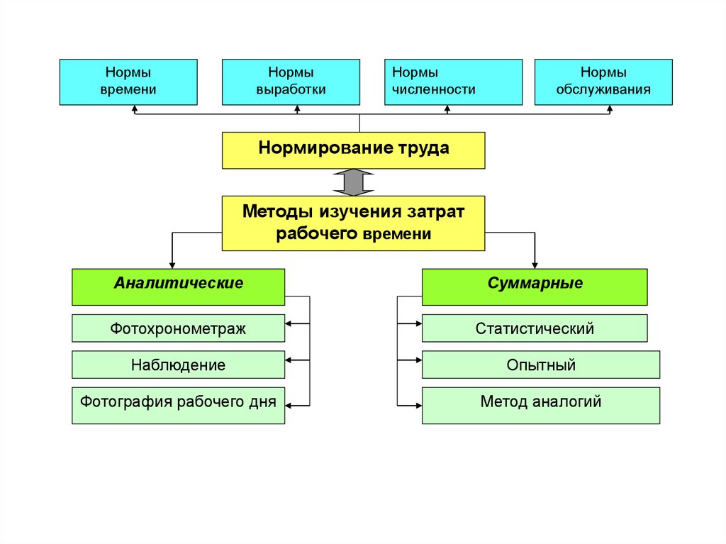 Структура термина. Структура отдела нормирования труда. Кадры управления классификация. Классификация управления по численности. Методы исследования нормы обслуживания.