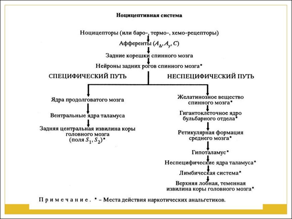 Ноцицептивная боль схема