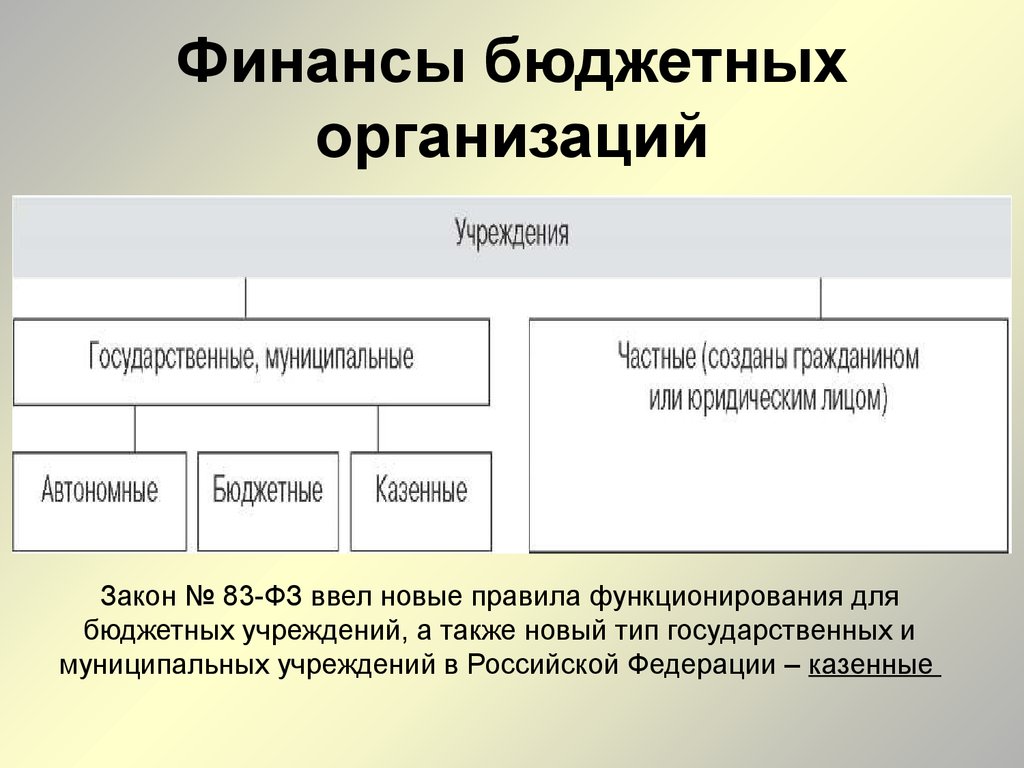 Финансы бюджетных организаций