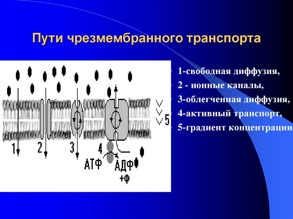 Механизмы диффузии