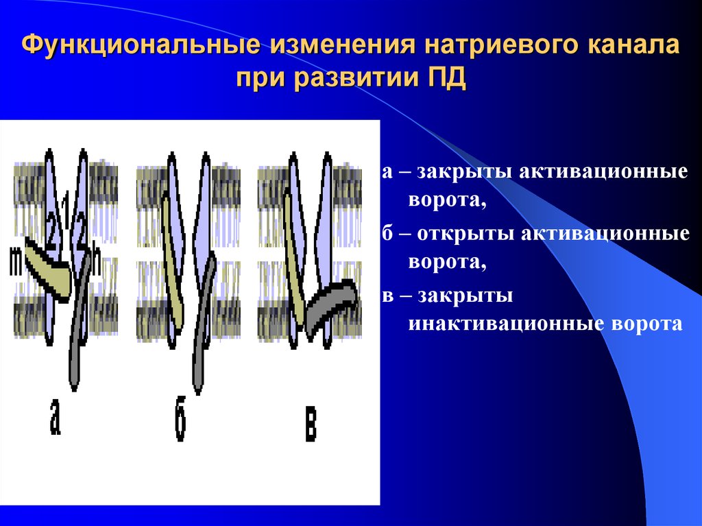 Должностные изменения