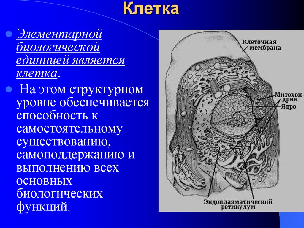 Клетка является единицей живого