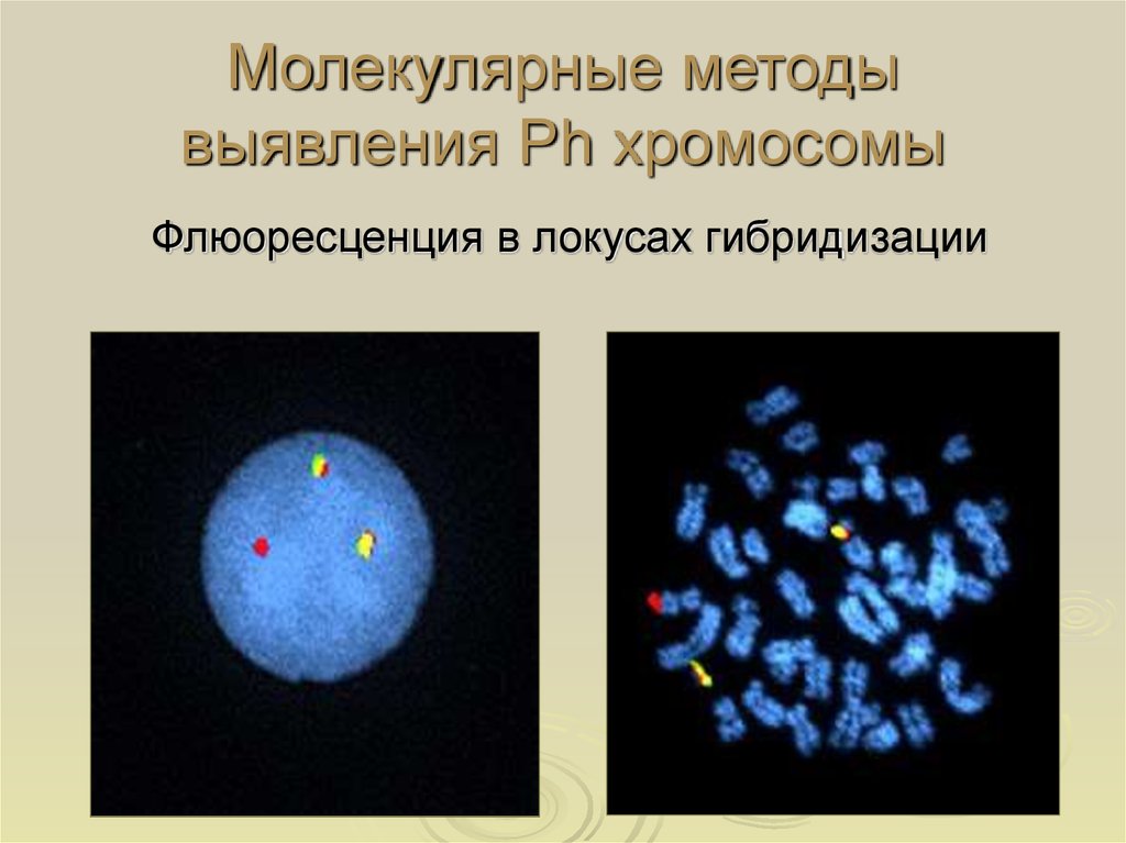 Молекулярный метод