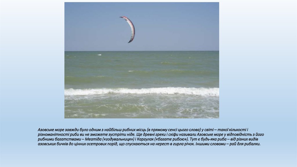 Азовське море завжди було одним з найбільш рибних місць (в прямому сенсі цього слова) у світі – такої кількості і різноманітності риби ви н