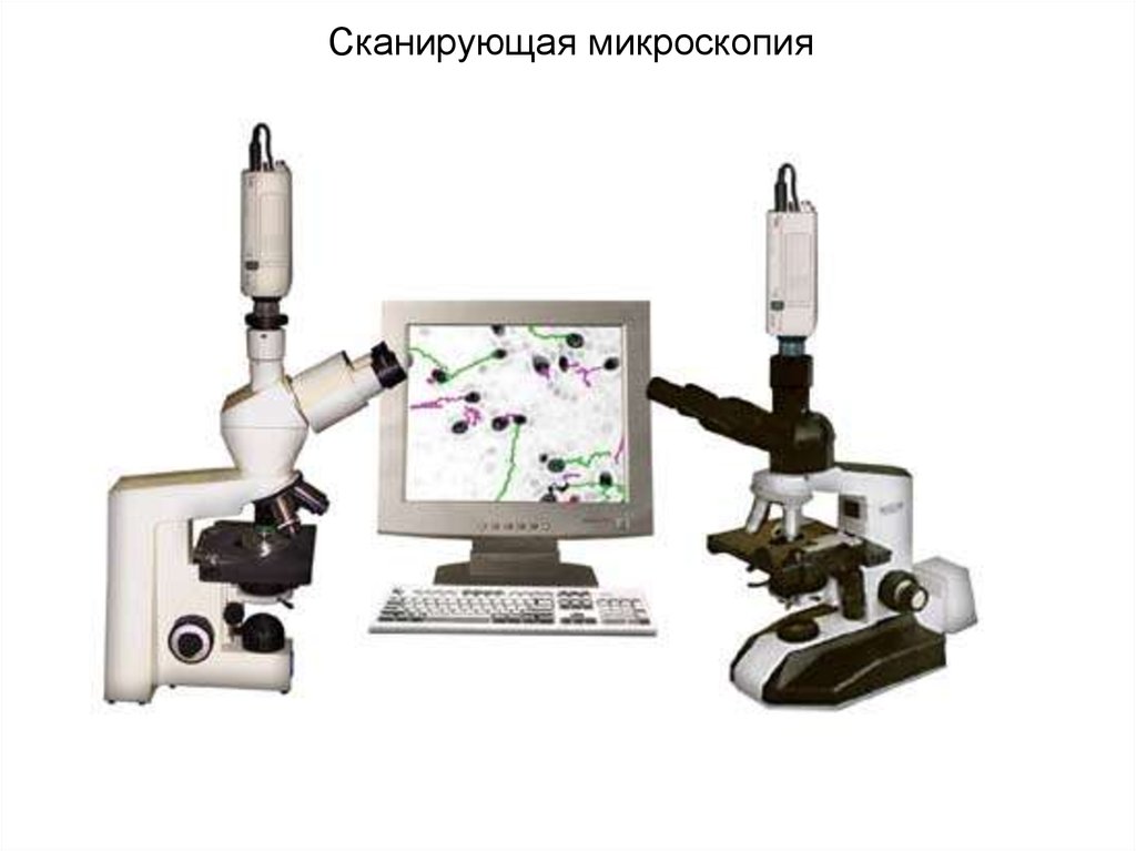 Методы сканирующей микроскопии. Сканирующая микроскопия. Сканирующий микроскоп. Как показывает сканирующий микроскоп.