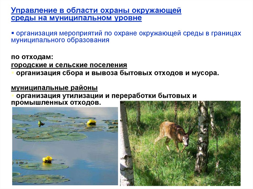 Охрана окружающей среды содержание. Охрана окружающей среды презентация. Охрана окружающей среды в Свердловской области. Мероприятия по охране окружающей среды. Охрана окружающей среды Нижегородской области.