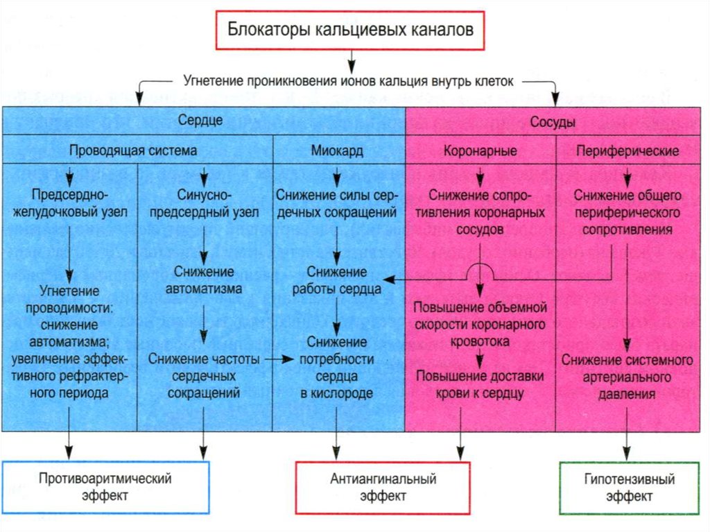 Противоаритмические лекарственные препараты - презентация онлайн
