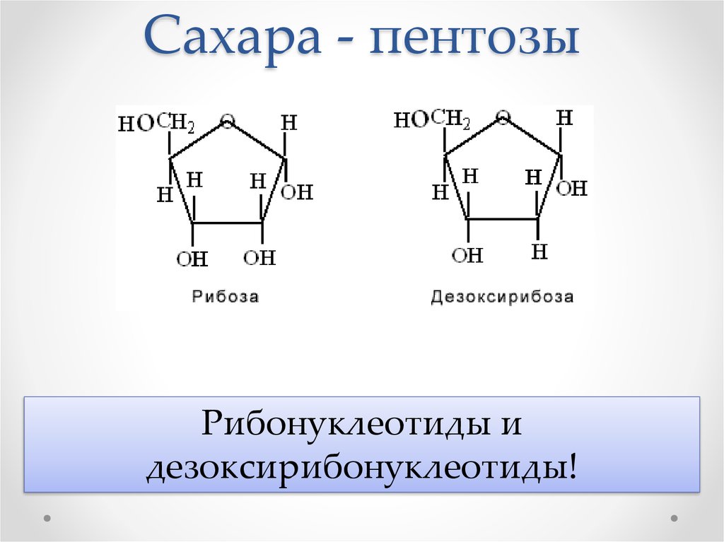 Гексоза это. Формула Глюкозы пентозы. Формулы гексоз и пентоз. Моносахариды гексозы. Глюкоза пентоза.