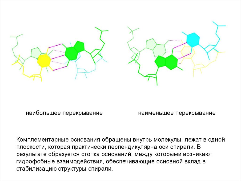 Гидрофобные связи белка. Гидрофобные взаимодействия в ДНК. Гидрофобные взаимодействия в нуклеиновых. Взаимодействие нуклеиновых кислот с белками. Водородные связи гидрофобные взаимодействия ДНК.